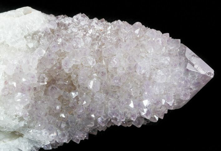 Cactus Quartz (Amethyst) Crystal - Large Point #47181